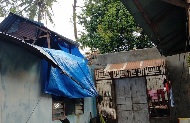 Kondisi rumah ibu Nurmalis yang tertimpa pohon.